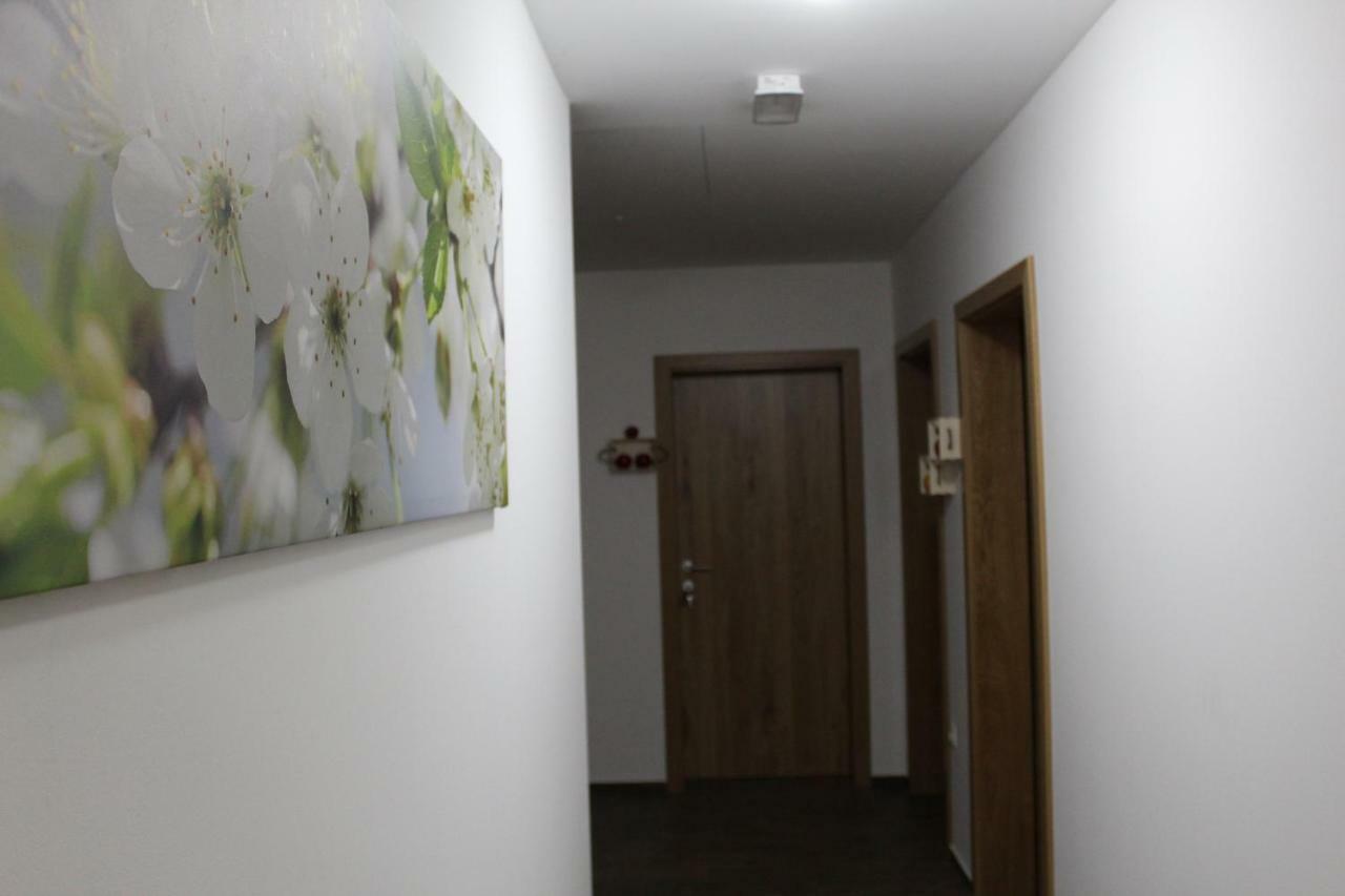 Vdovic Guest House Svecina Екстер'єр фото